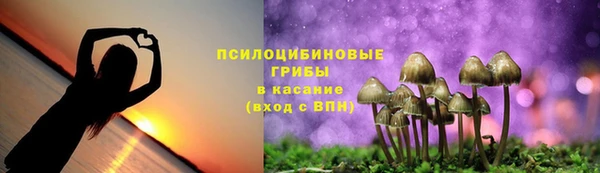 MDMA Premium VHQ Белокуриха