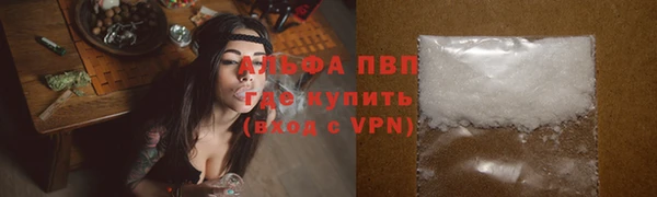 хмурый Дмитров
