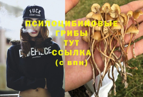каннабис Беломорск