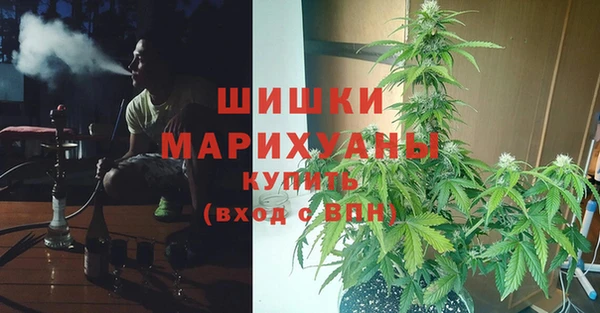 apvp Дмитровск
