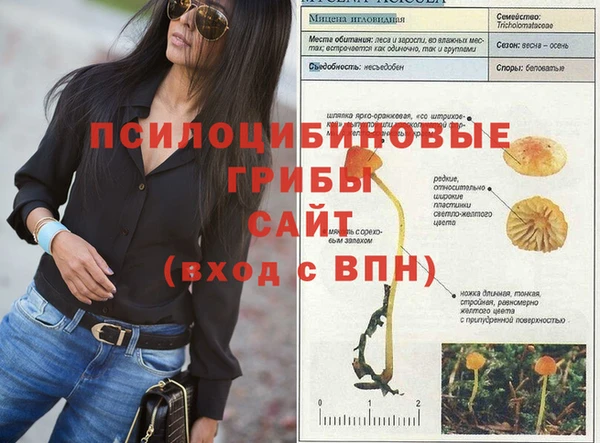 каннабис Беломорск